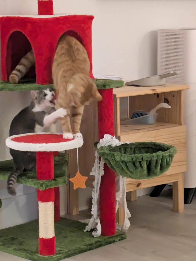 The Oddest Couple  thumbnail 4