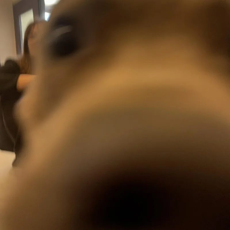 Paw Patrol thumbnail 6