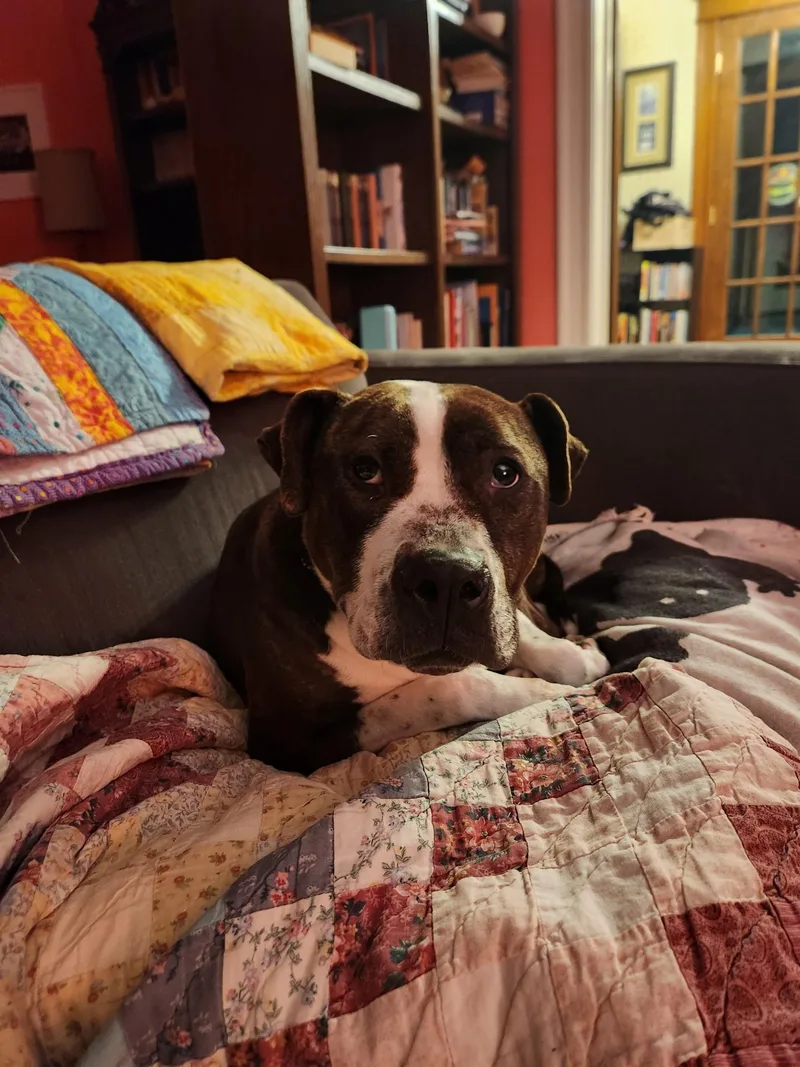 Grand Marnier thumbnail 2