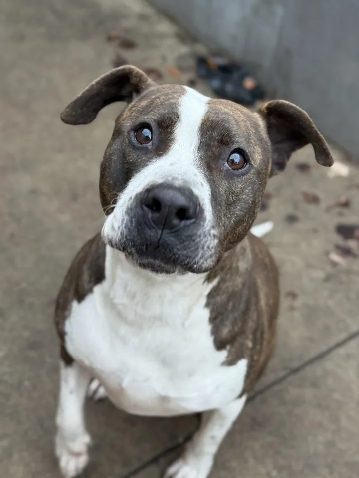 Grand Marnier thumbnail 5