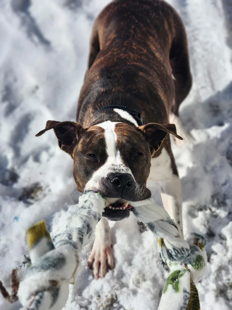 Grand Marnier thumbnail 6