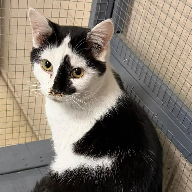 Model Sisters: Naomi