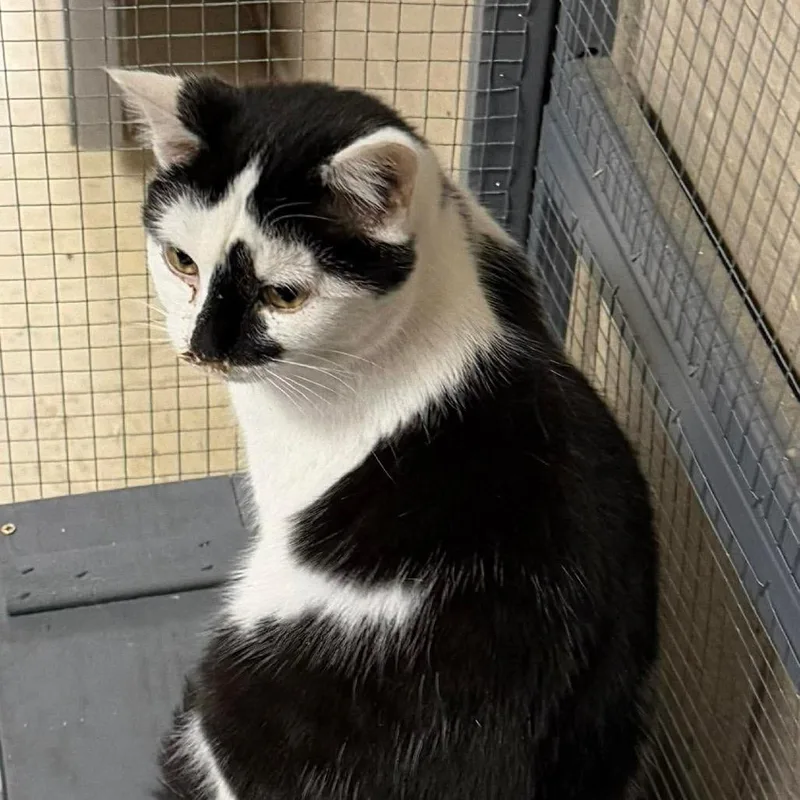 Model Sisters: Naomi thumbnail 2