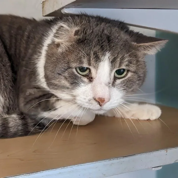 Lucky Sunday thumbnail 2