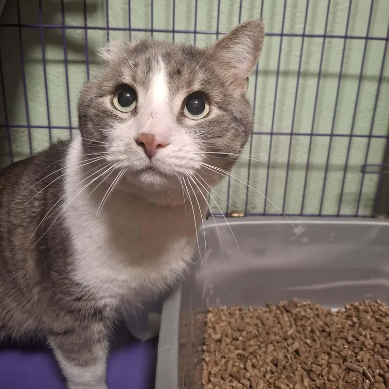 Lucky Sunday thumbnail 5