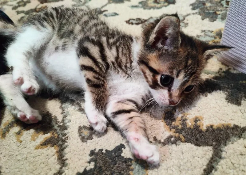 Jackie & Micro thumbnail 2