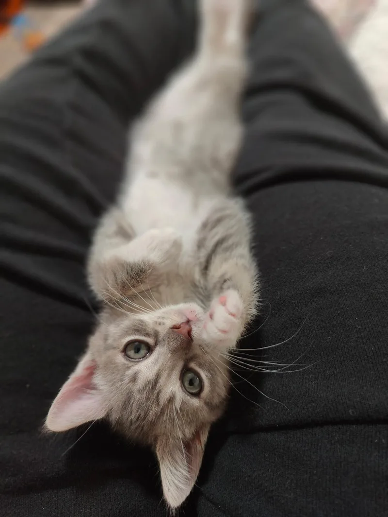 Jackie & Micro thumbnail 3