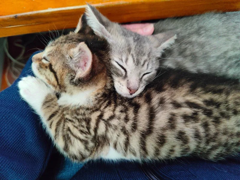 Jackie & Micro thumbnail 4