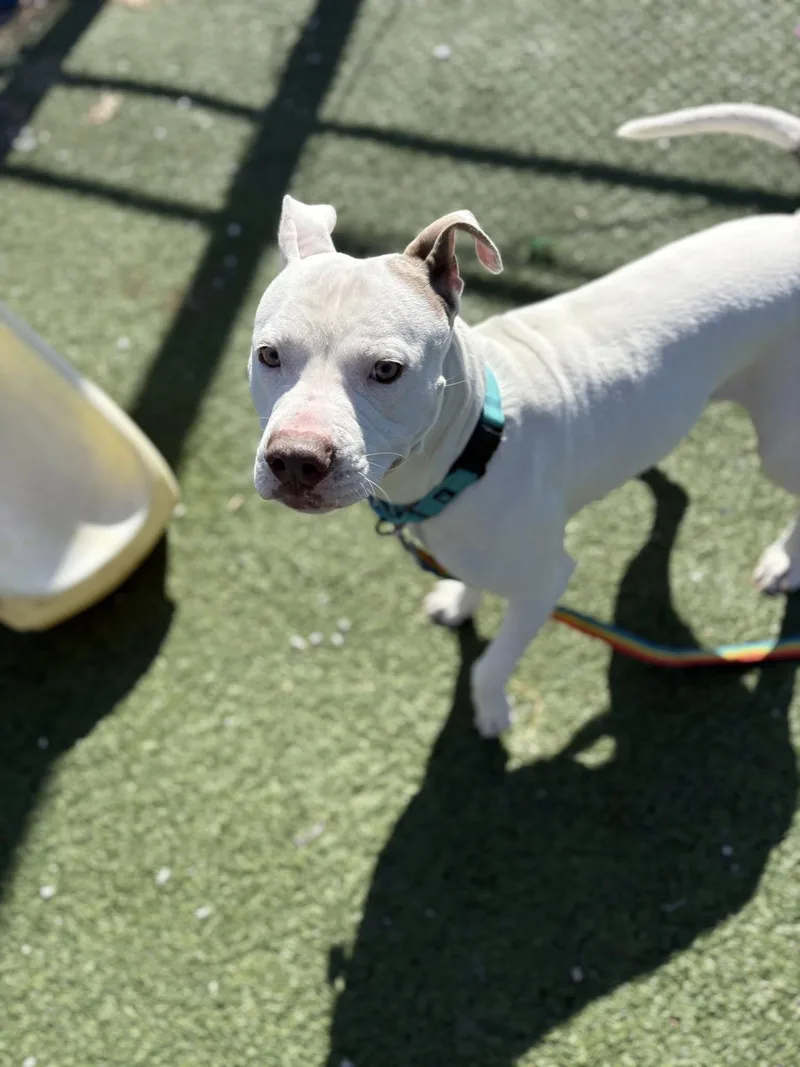 Boyfriend thumbnail 2