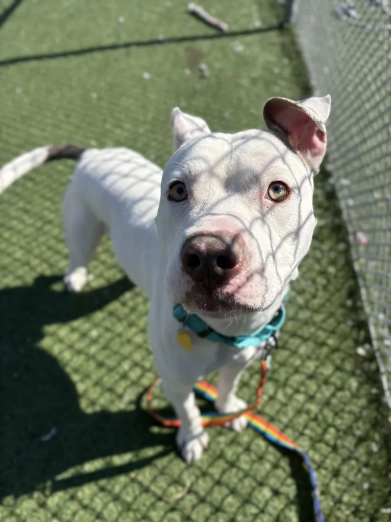 Boyfriend thumbnail 3