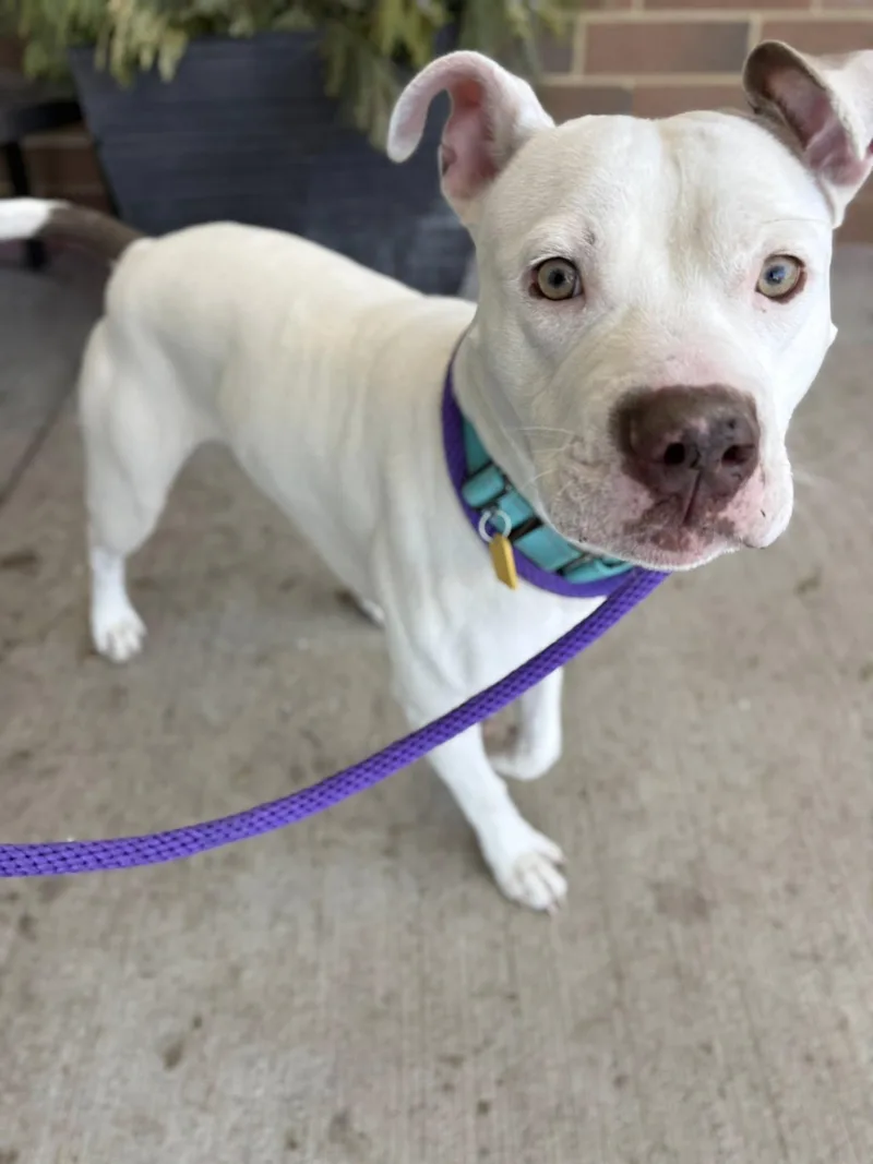 Boyfriend thumbnail 4