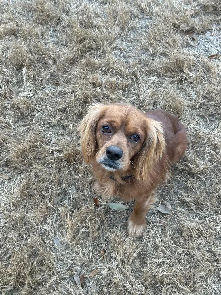 Hunnicutt thumbnail 2