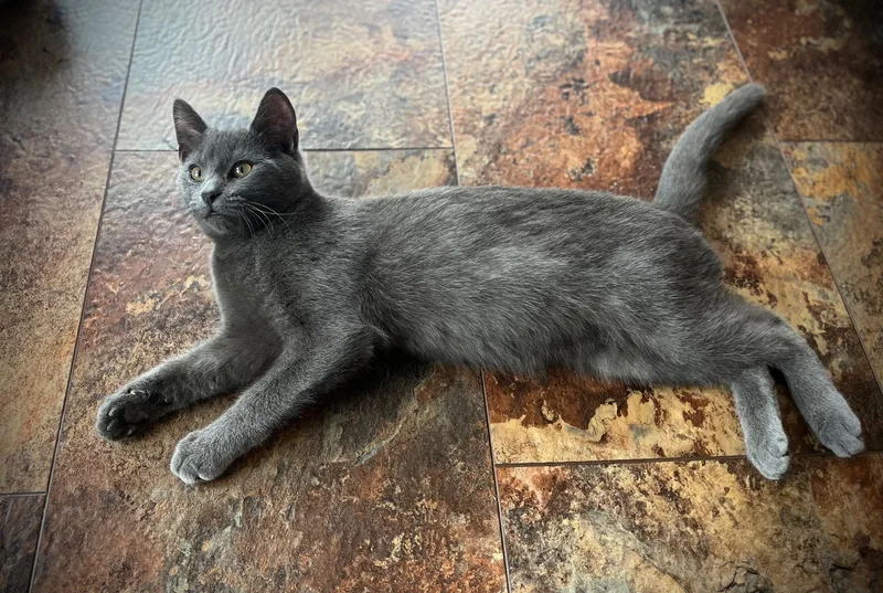 Paul Mccartney thumbnail 2