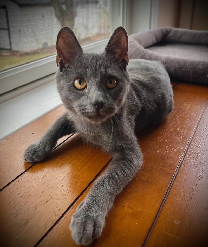 Paul Mccartney thumbnail 4