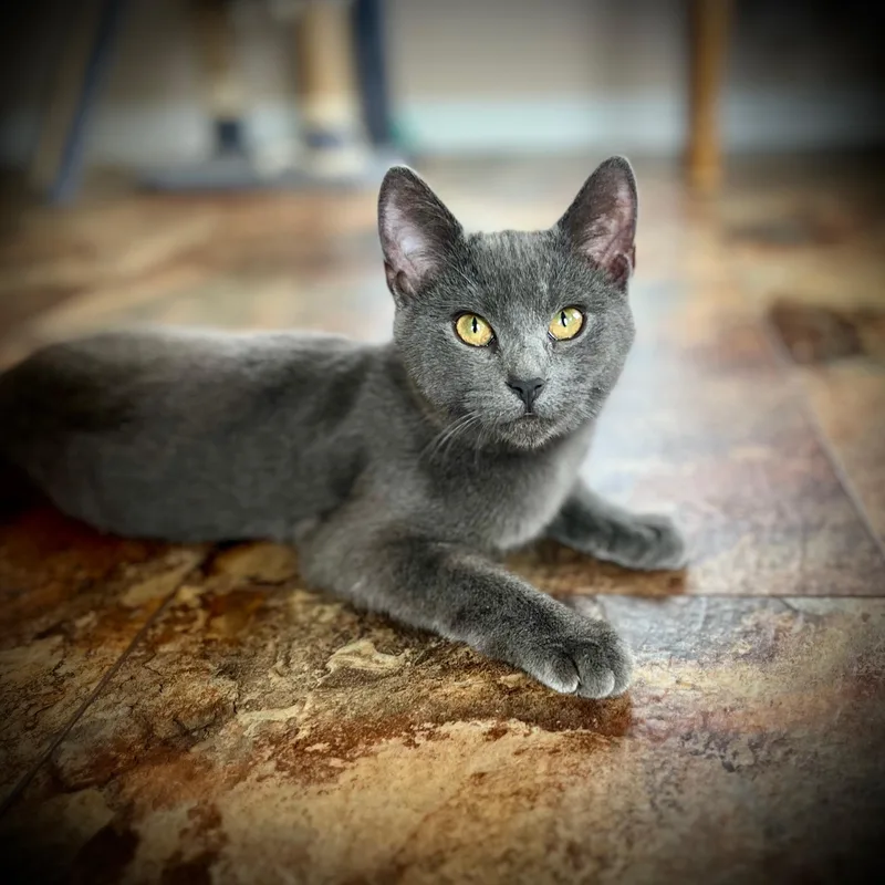 Paul Mccartney thumbnail 6