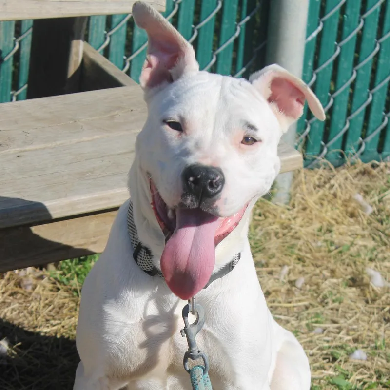 Lil John thumbnail 2