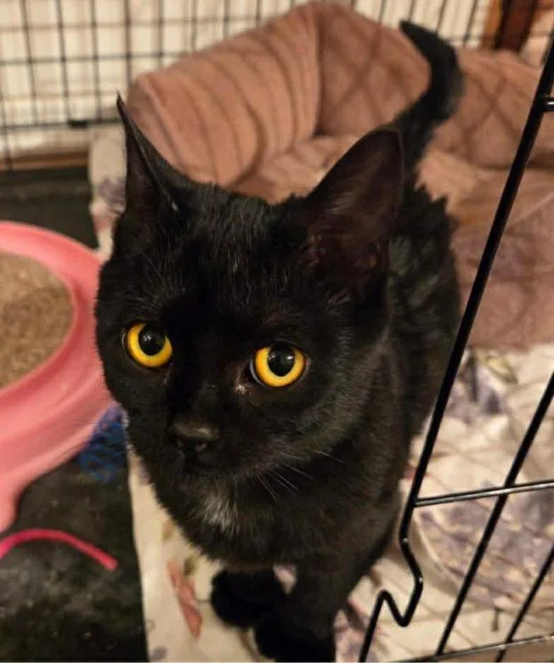 Lucille And Booberry thumbnail 2