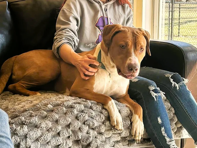 Mr Hawkbig Cuddlebug!!! thumbnail 3