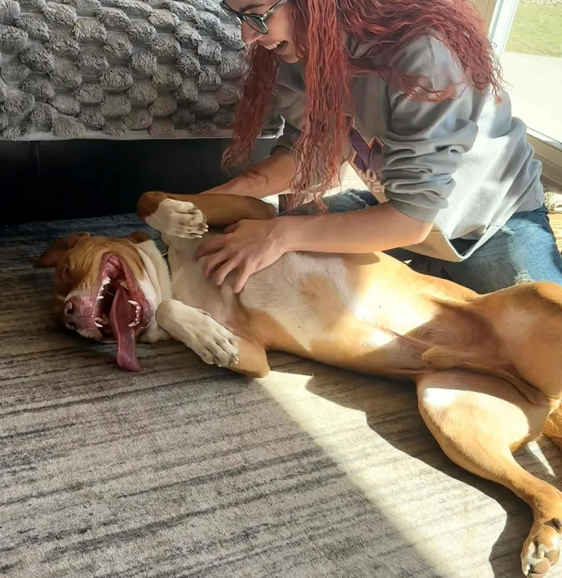 Mr Hawkbig Cuddlebug!!! thumbnail 4