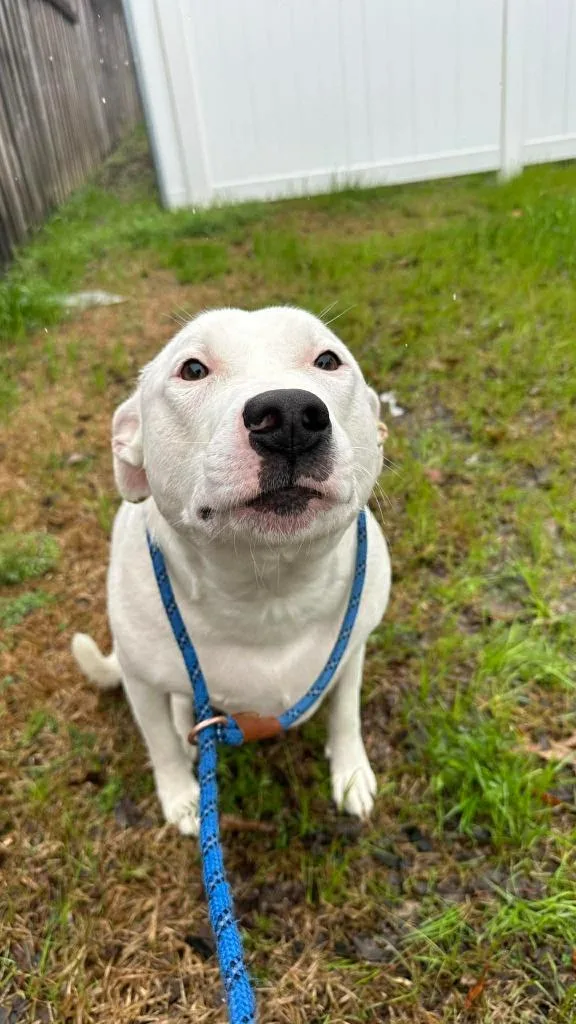 Spooky "pookie thumbnail 2