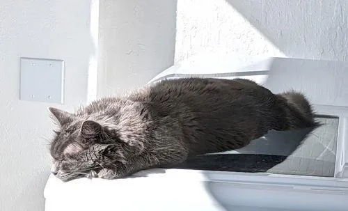 Sterling thumbnail 3