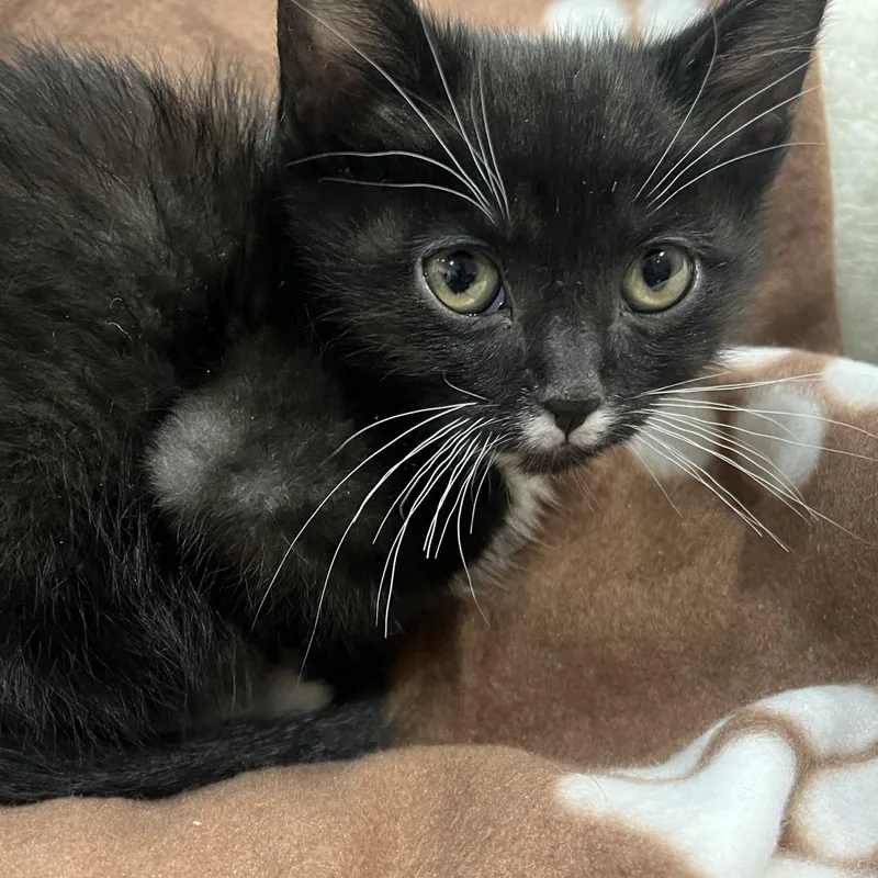 Bootsy Collins thumbnail 3