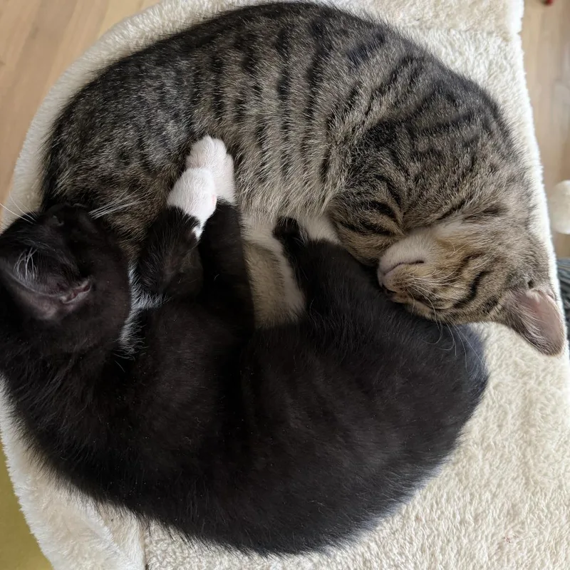 Bootsy Collins thumbnail 4