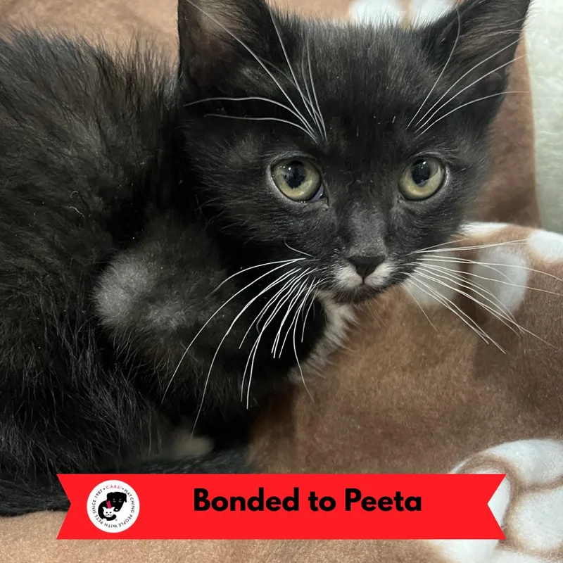 Bootsy Collins thumbnail 5