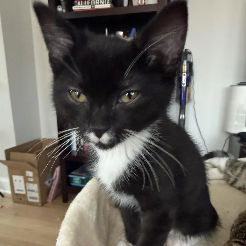 Bootsy Collins thumbnail 6