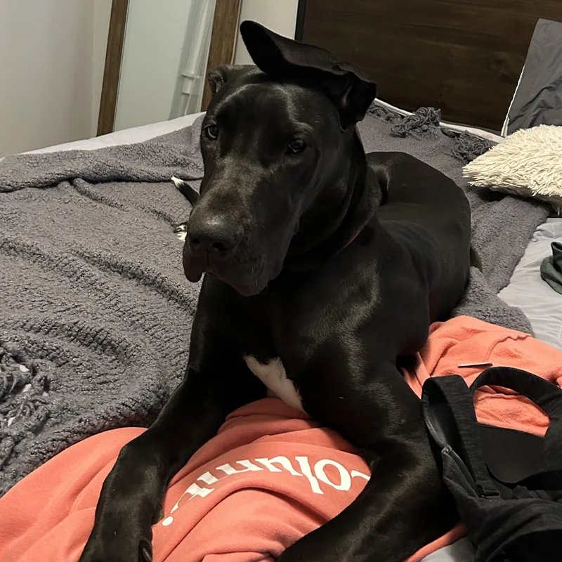 Espresso Martini thumbnail 2