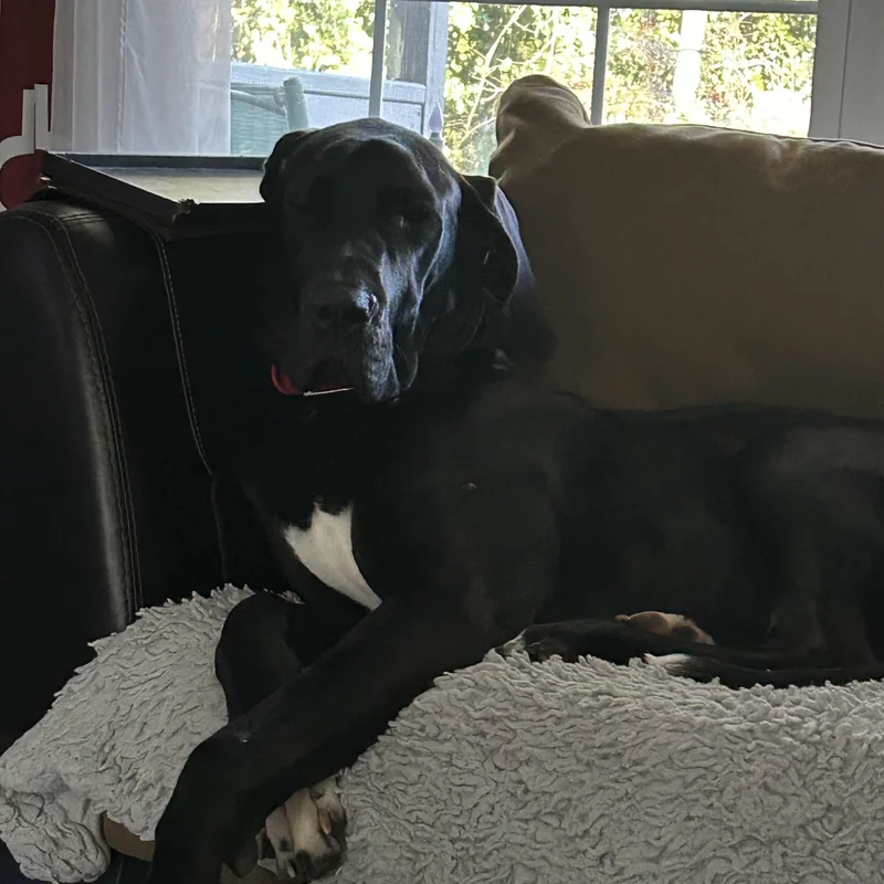 Espresso Martini thumbnail 5