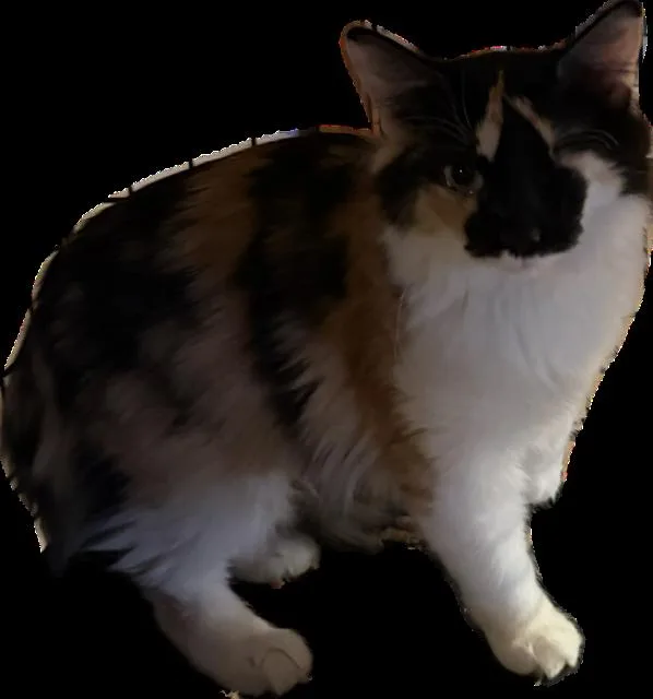 Krystina thumbnail 2