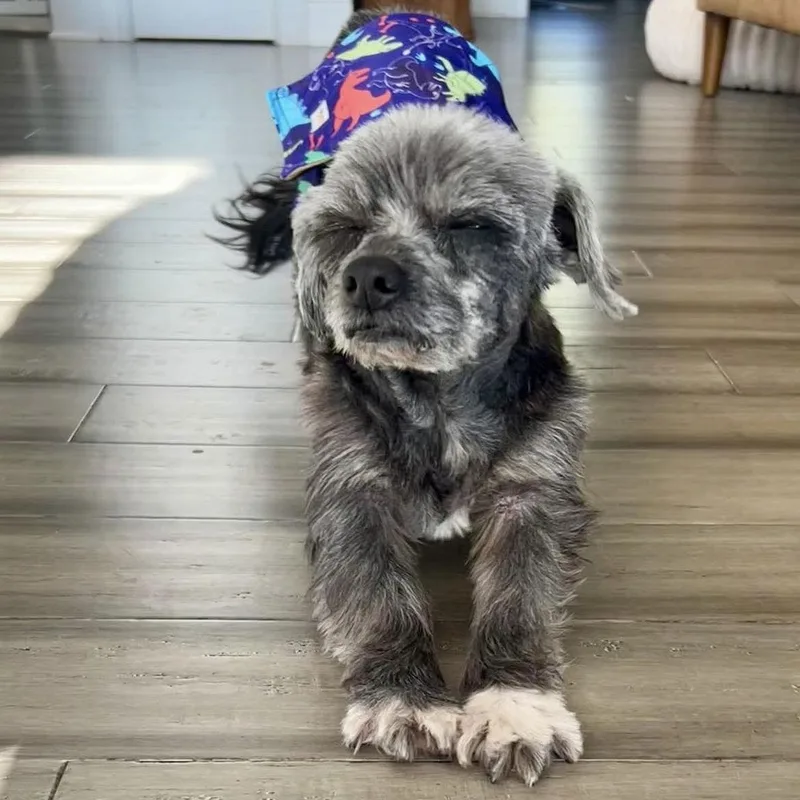 Otto Jones thumbnail 2