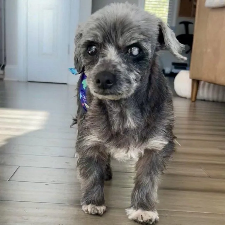 Otto Jones thumbnail 3