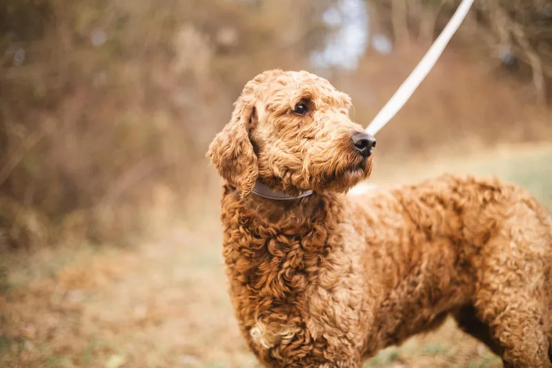 Marianne thumbnail 3