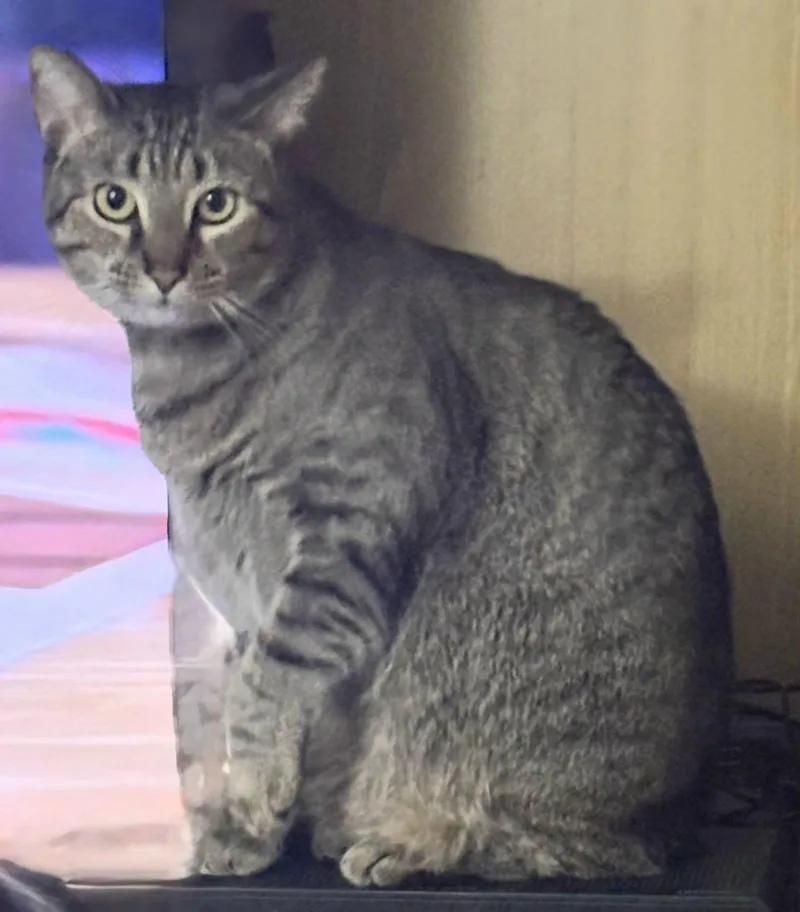 Bright Eyes thumbnail 2