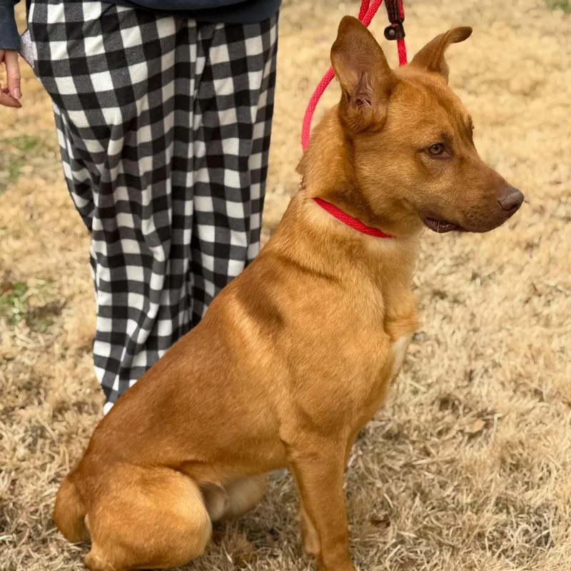 Franklin thumbnail 3