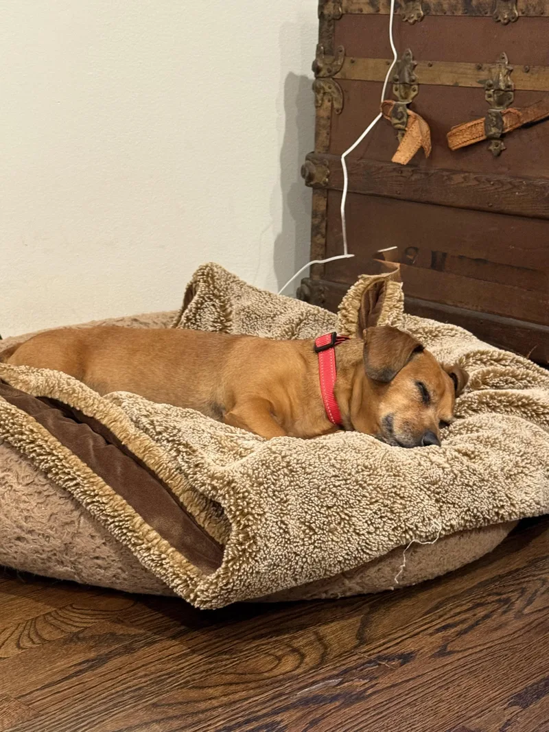 Mr Peanut thumbnail 2