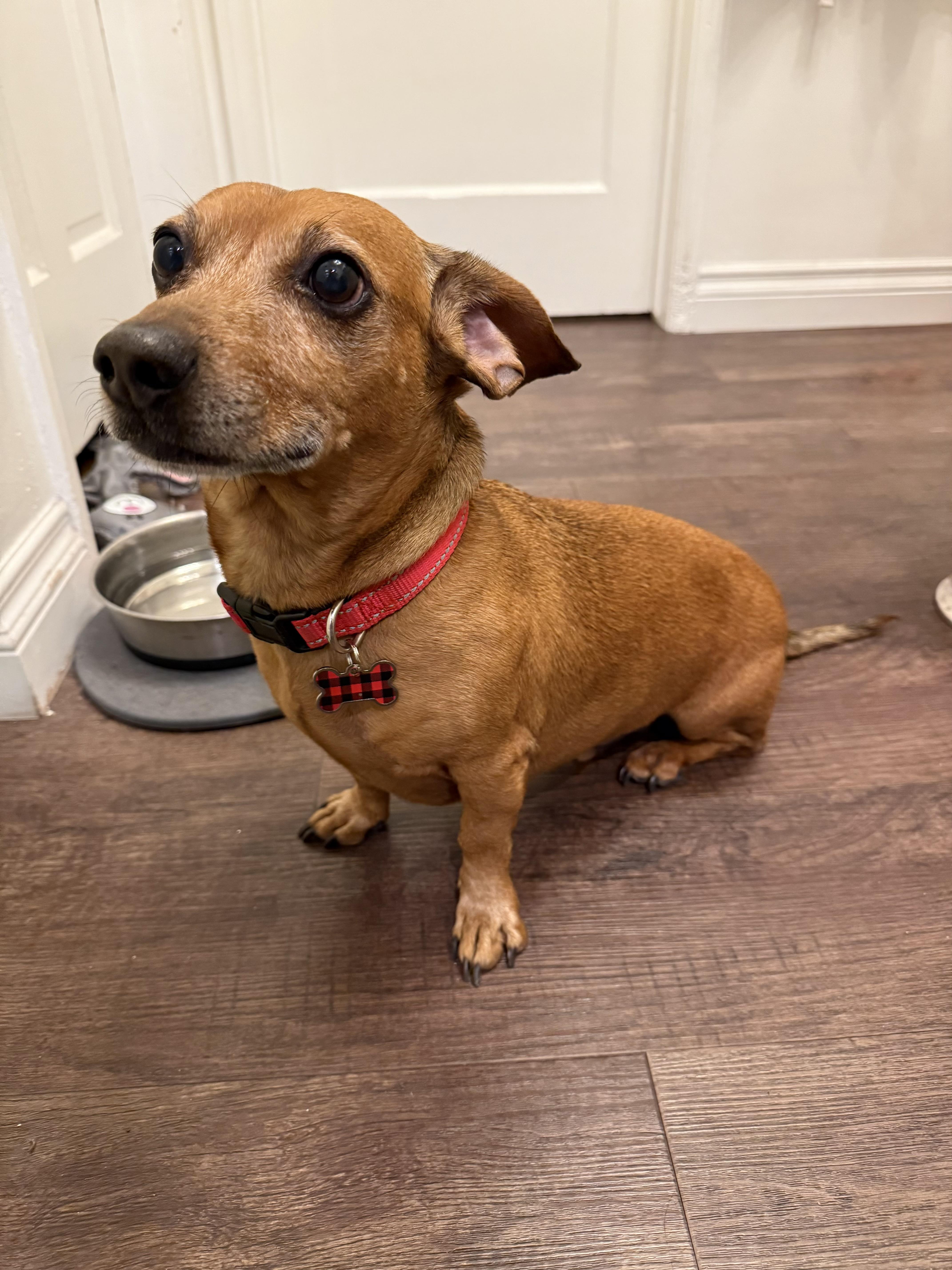 Mr Peanut thumbnail 4