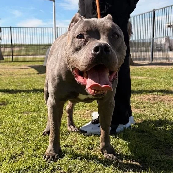 Blue Sky thumbnail 2