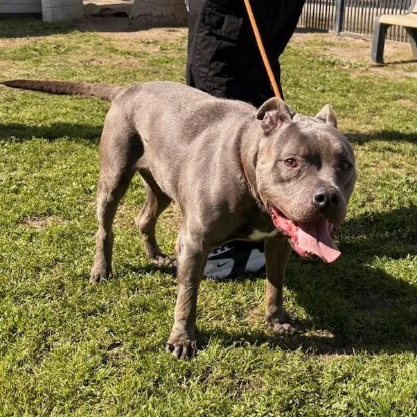 Blue Sky thumbnail 3