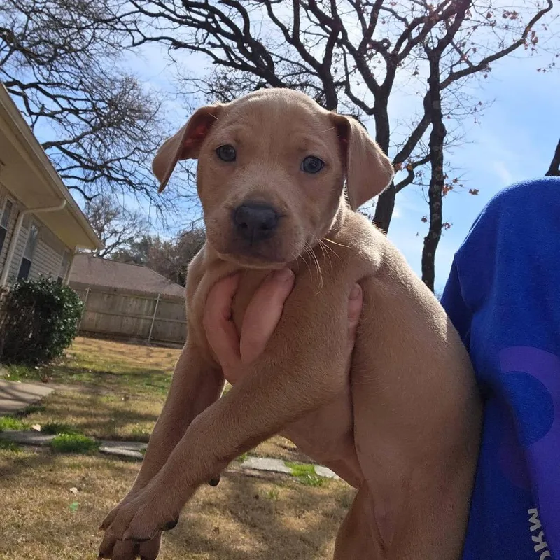 Miss Mayhem thumbnail 2