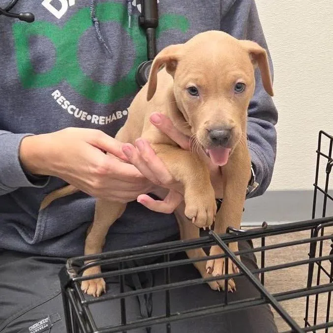 Miss Mayhem thumbnail 3