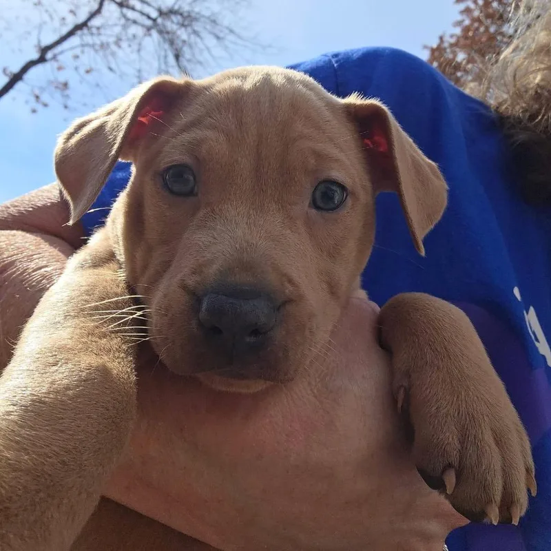 Miss Mayhem thumbnail 4