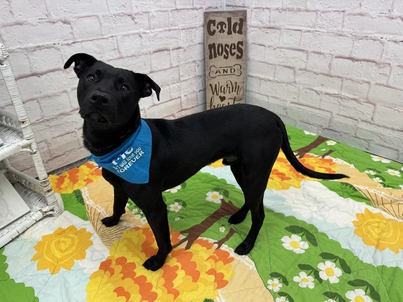 Glenwood thumbnail 2