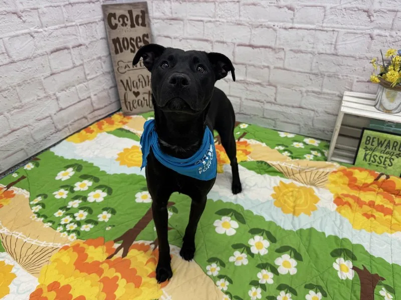 Glenwood thumbnail 3