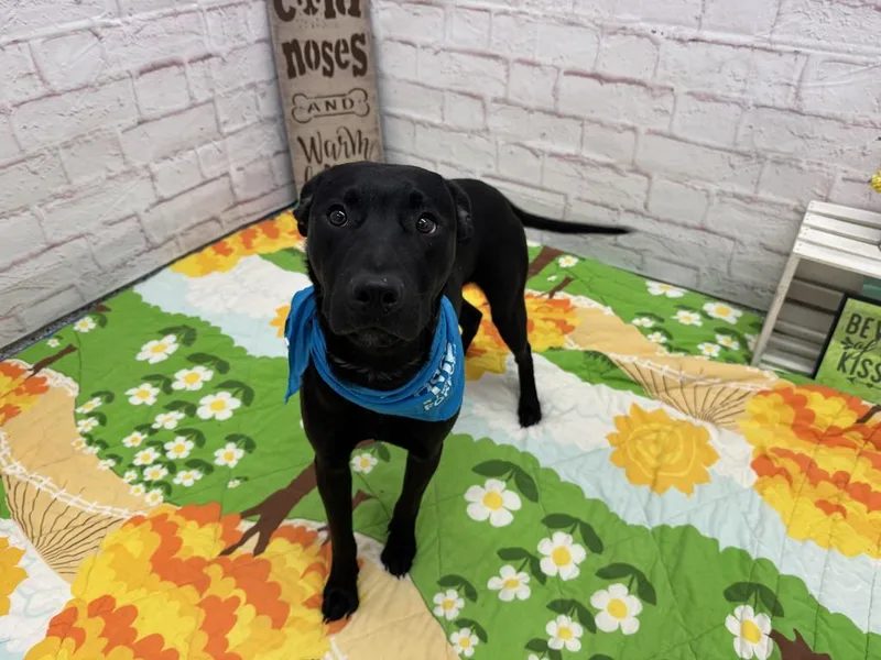 Glenwood thumbnail 5