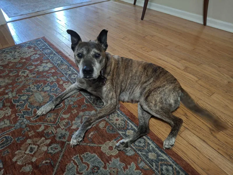 Gretchen thumbnail 2