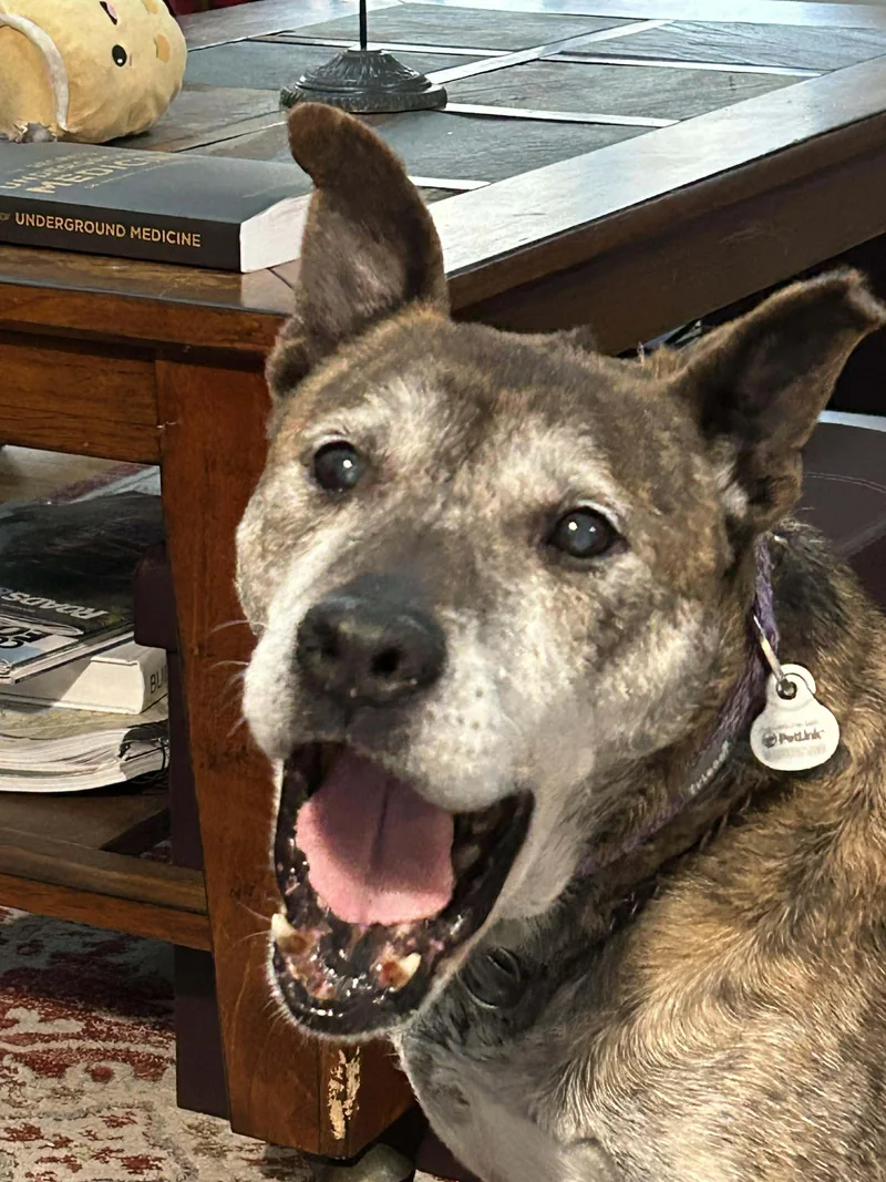 Gretchen thumbnail 3