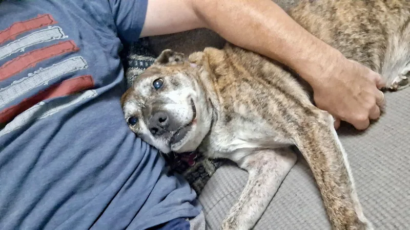 Gretchen thumbnail 4